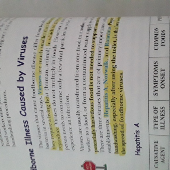 Book. Food safety - Picture 16 of 16